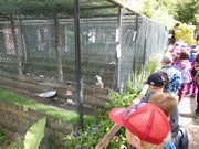 Výlet do ZOO Chleby a Labyrintária Loučeň